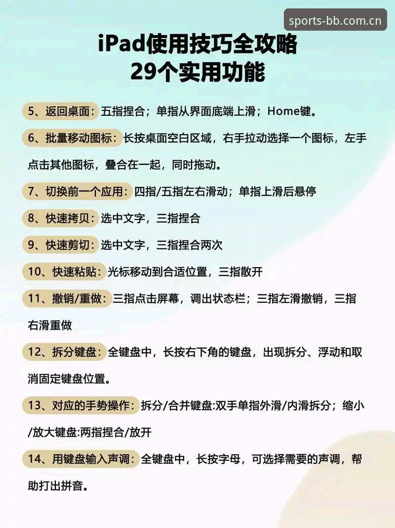 BB平台官网使用详解：老用户分享真实体验与操作指南
